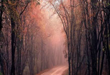 全国速度滑冰冠军赛在新疆开赛.