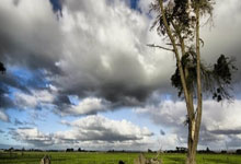 梁靖崑谈为何总能逆转:谁都想3-0赢啊,逆转说明自己有毅力&坚持.