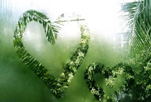 就算被全世界嘲笑,我也要为热爱梭哈到底!.