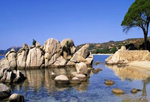 NG28官网:WTT新加坡大满贯王曼昱晋级女单16强央视新闻客户端.